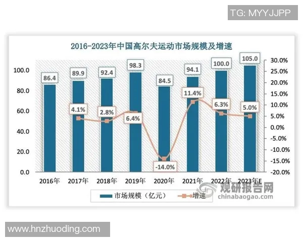南京羽毛球队近期状态深度对比分析及未来发展趋势探讨 南京羽毛球队近期状态深度对比分析及未来发展趋势探讨