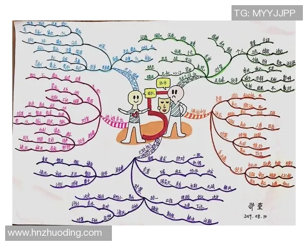 深圳排球队阵地战解析：战术布局与团队协作的深度剖析