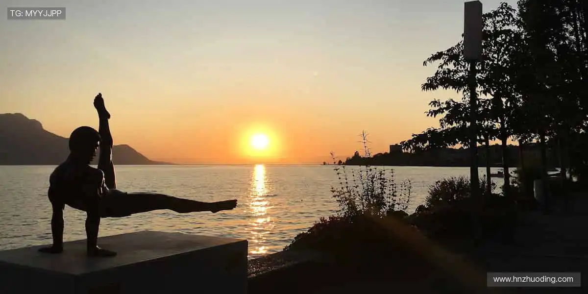 高清直播，实时互动，身临其境！🎯